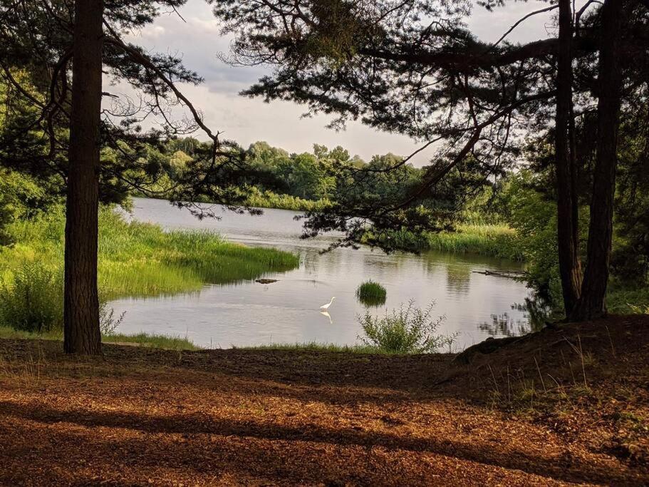 Villa Gaujaupe Gauja  Esterno foto