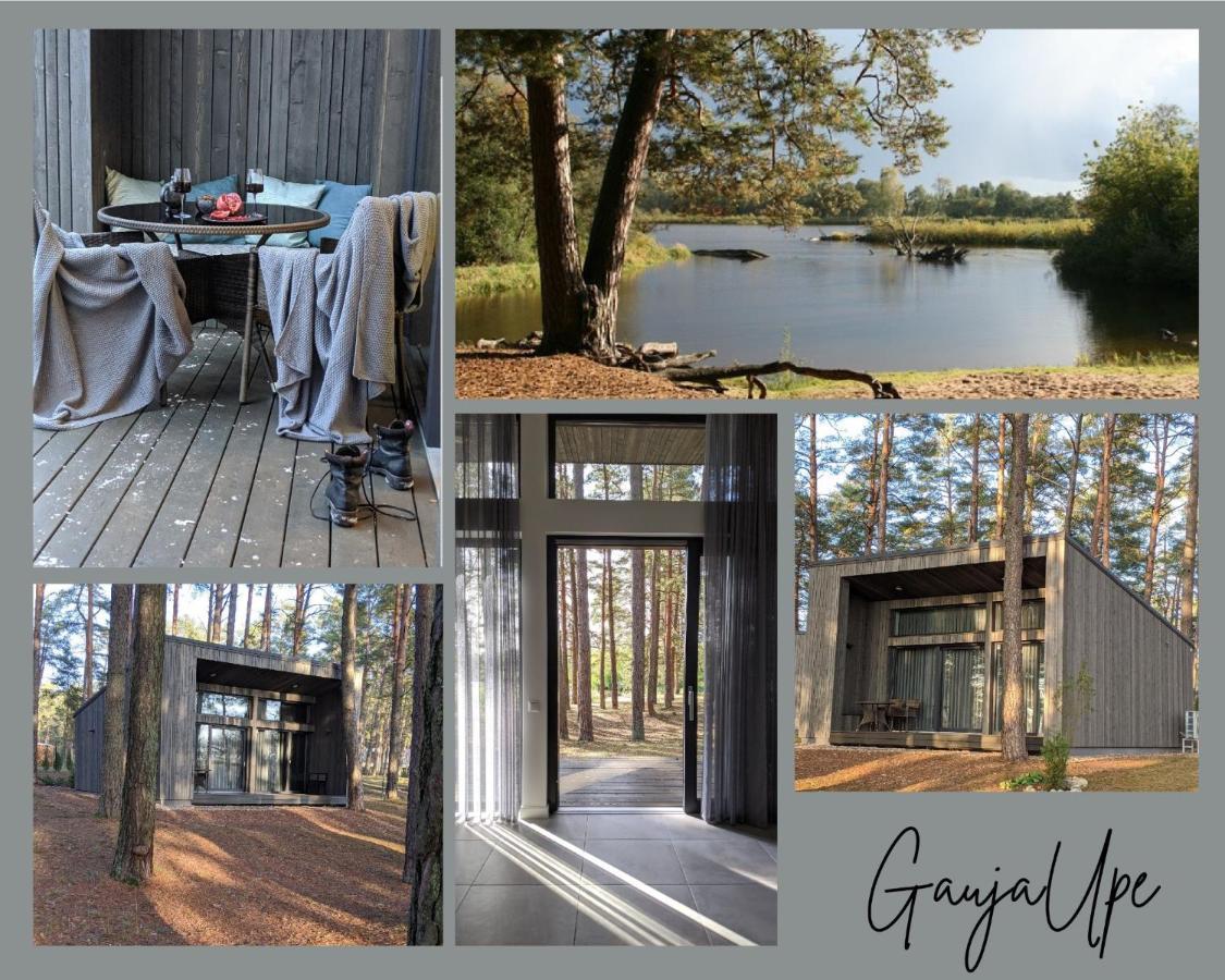 Villa Gaujaupe Gauja  Esterno foto